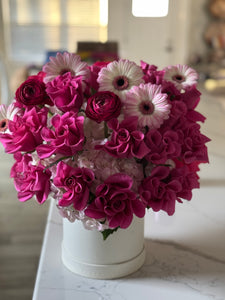 Fusia Pinks Blooms